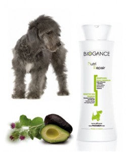 Biogance Nutri Repair Шампоан Възстановяващ Изтощената Козина 250 мл