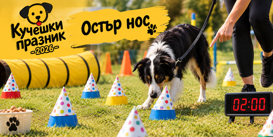 „Остър нос“ – как се играе?