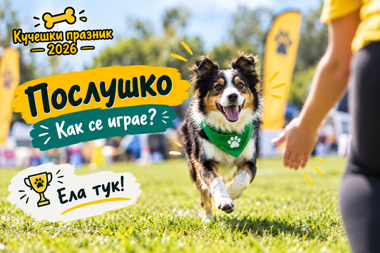 „Послушко“ – как се играе?