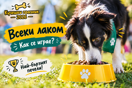„Всеки лаком“ – как се играе?