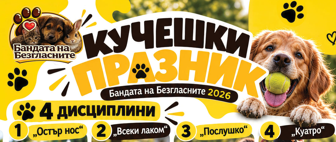 Кучешки Празник с КАУЗА "Бандата на Безгласните" 2026