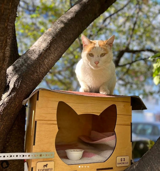 Котешки Къщички на Дърво - от ЗооХранител за Котките с Любов